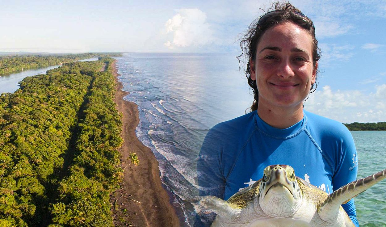 Costa Rica Seeks Volunteers for Caribbean Sea Turtles