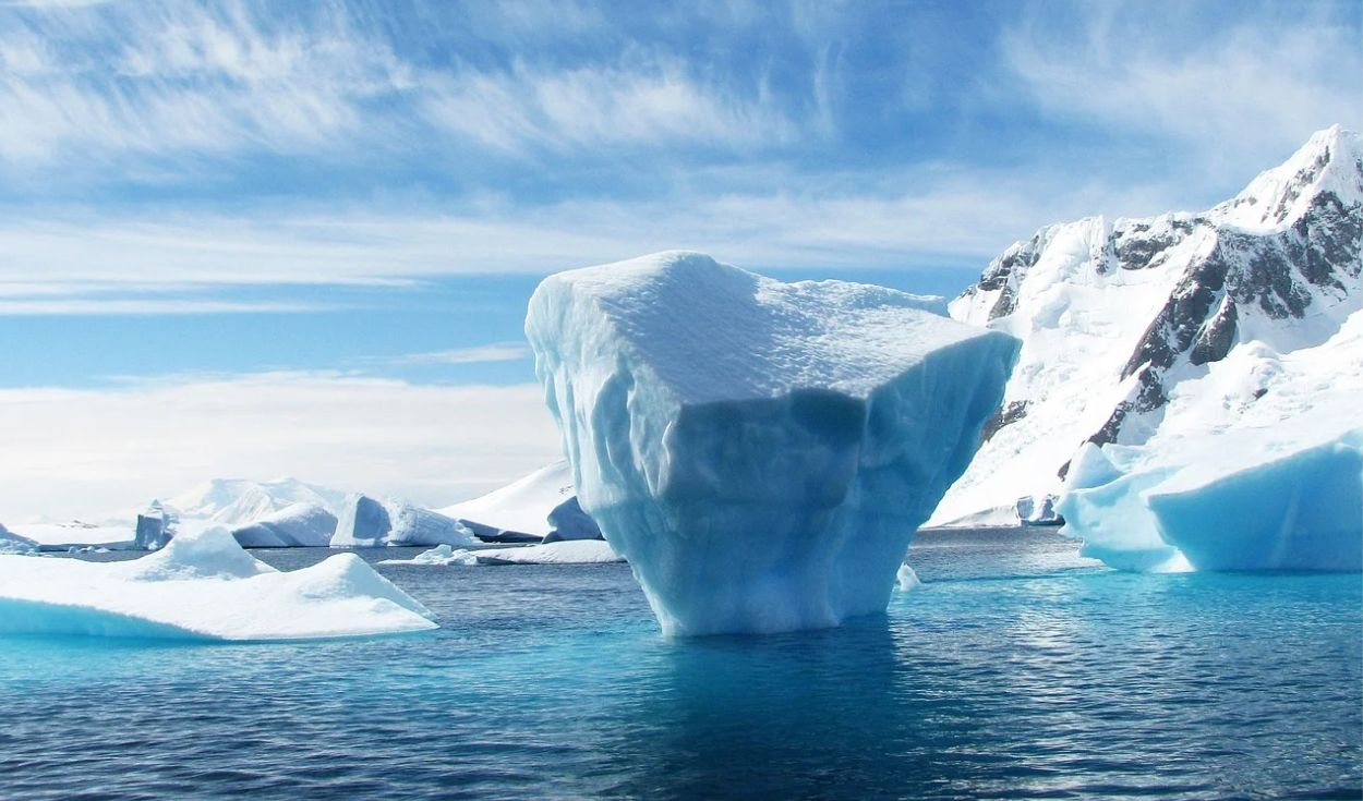 Antarctica Fossil Reveals 55-Million-Year-Old Mammal