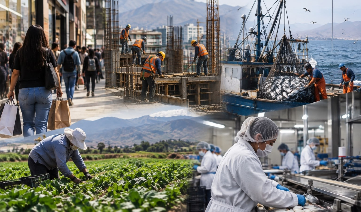 Peru's Economy Grows 3.56% in July as Fishing Slumps