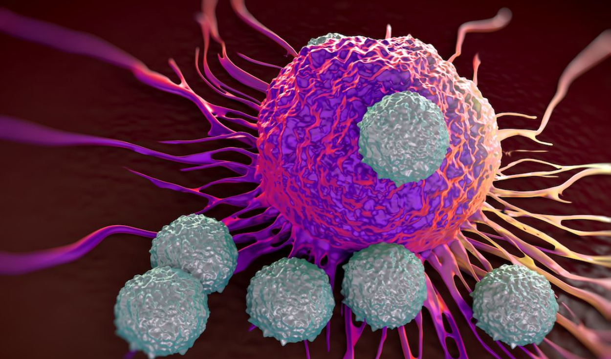 Científicos logran desaparecer el cáncer metastásico de un niño de 3 años tras dos dosis de terapia experimental