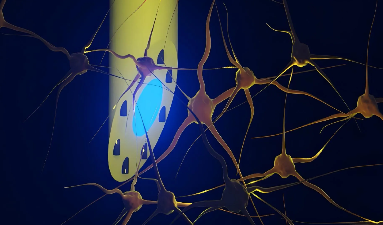 Scientists Develop Flexible Brain Implant With 3 Functions