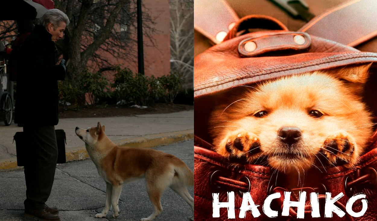 ¡Para volver a llorar! Clásico perruno ‘Hachiko’ regresa a los cines peruanos este 8 de octubre, 15 años después de su estreno