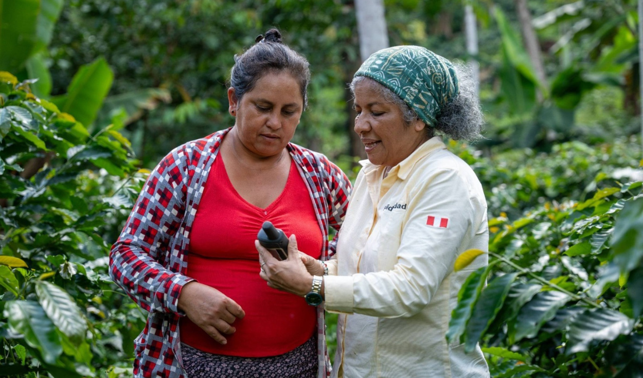 Productores de café, cacao y palma listos para exportar a Europa con “cero deforestación”