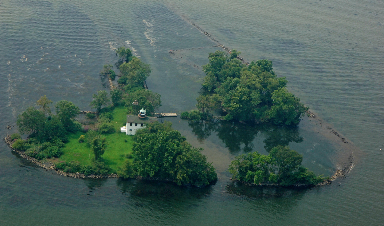 En 2013, replantaron una isla entera con 60.000 plantas: 10 años después, lograron un impactante resultado