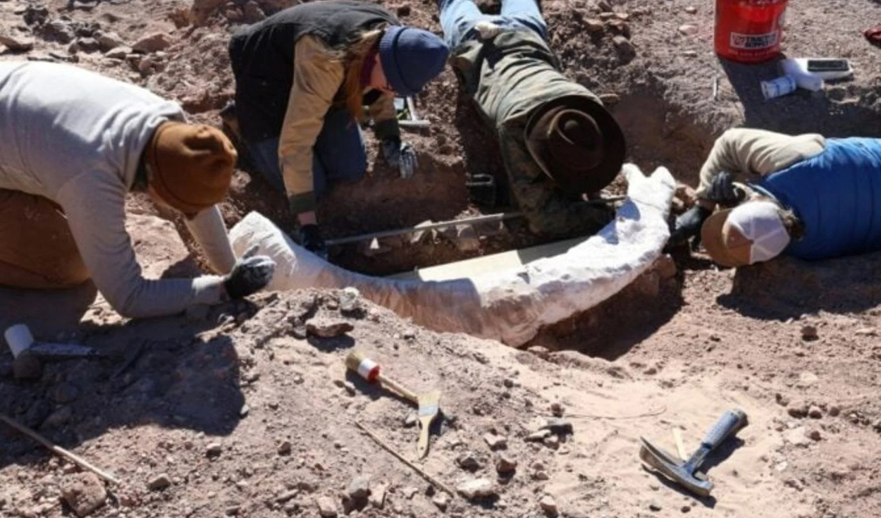 Parecía un viejo tronco encontrado en un arroyo de Texas, pero los científicos descubrieron que era un raro colmillo de mamut