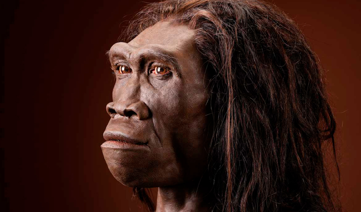 Un fósil de Homo erectus de hace 2 millones de años confirma que vivió en Sudáfrica mucho antes de lo que se pensaba