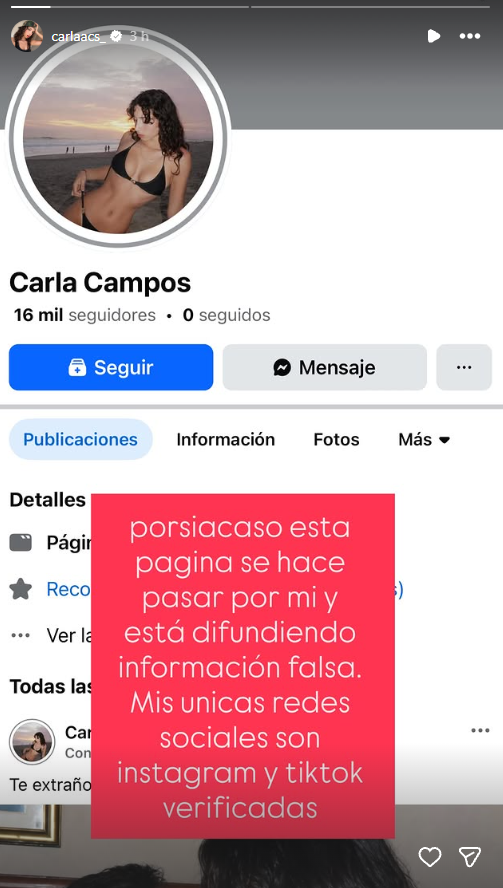 Publicación de Carla Campos Salazar. Foto: Instagram.  