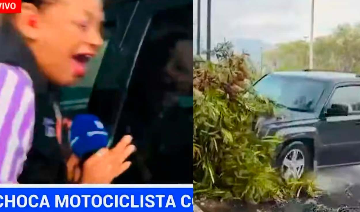 Atropellan a reportera y camarógrafo en pleno programa EN VIVO y genera conmoción: terrible hecho quedó grabado en video