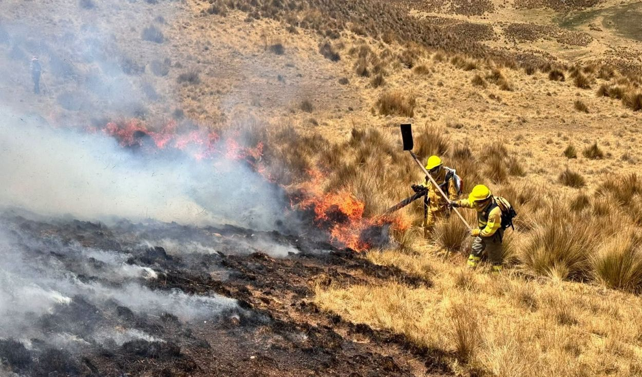 Incendio forestal arrasa más de 1.000 hectáreas y amenaza el Bosque de Piedras de Huayllay en Pasco
