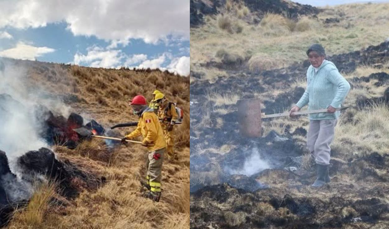 Incendios forestales en Cusco: Municipalidad organiza colecta de alimentos, frazadas y agua para afectados