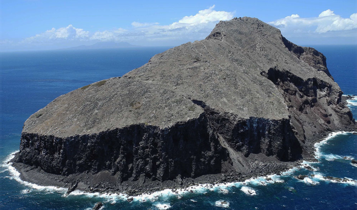 Eliminaron 6.000 ratas y 60 cabras de una isla donde solo quedaba un árbol: sin plantar nada la vegetación aumentó un 2.000%