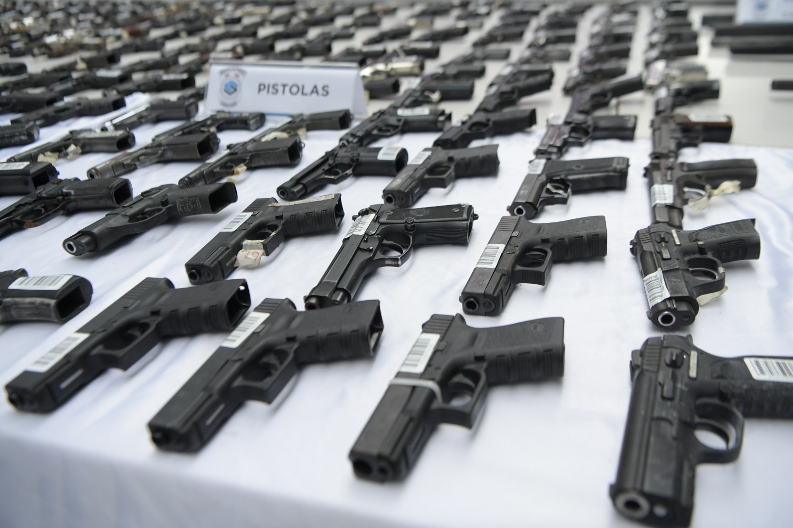Gobierno plantea regulación de armas de fuego de uso civil
