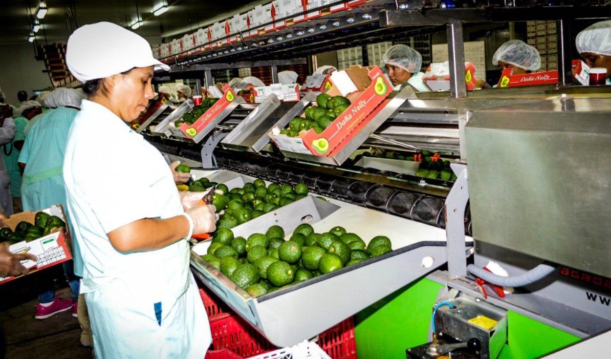 Agroexportaciones peruanas crecen solo 1,9% a agosto y se alejan de los avances de años anteriores