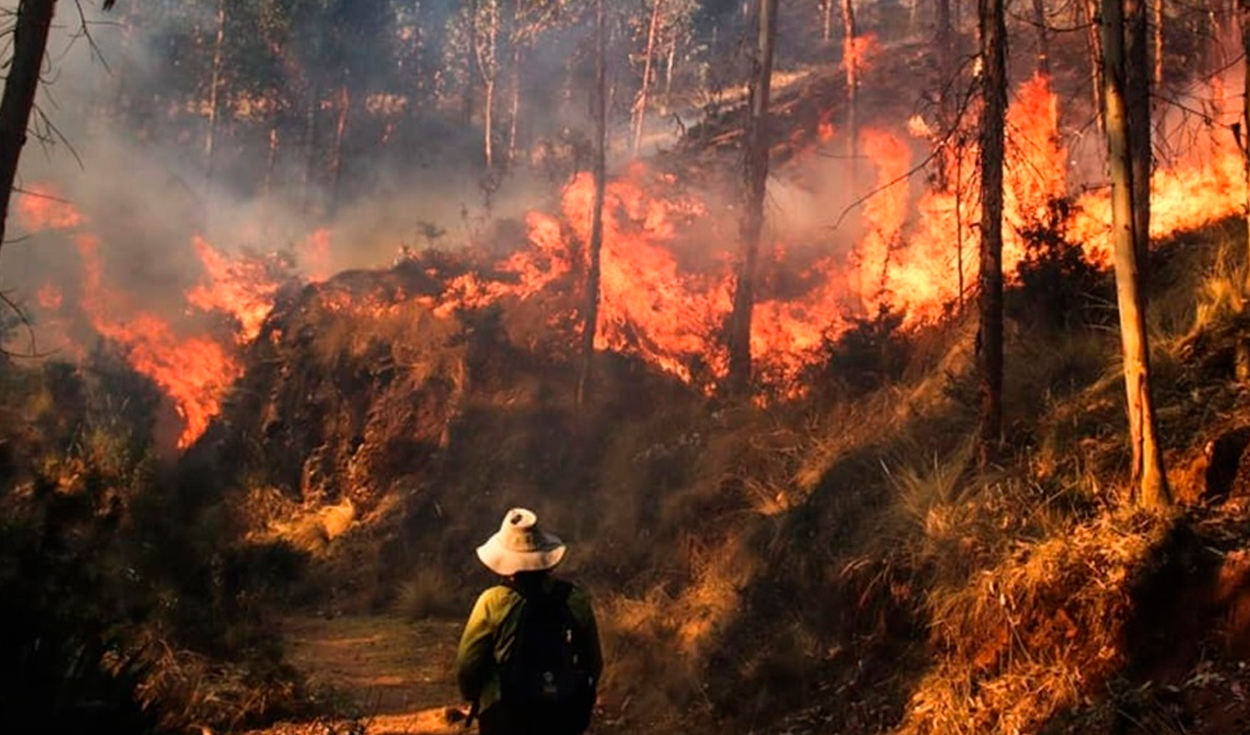 59 incendios forestales activos en todo el Perú: comunidades pierden cultivos, viviendas y ganado