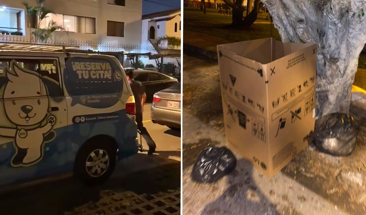 Denuncian a veterinaria por dejar cuerpo de una perrita en parque de Surco: empresa culpa a trabajador