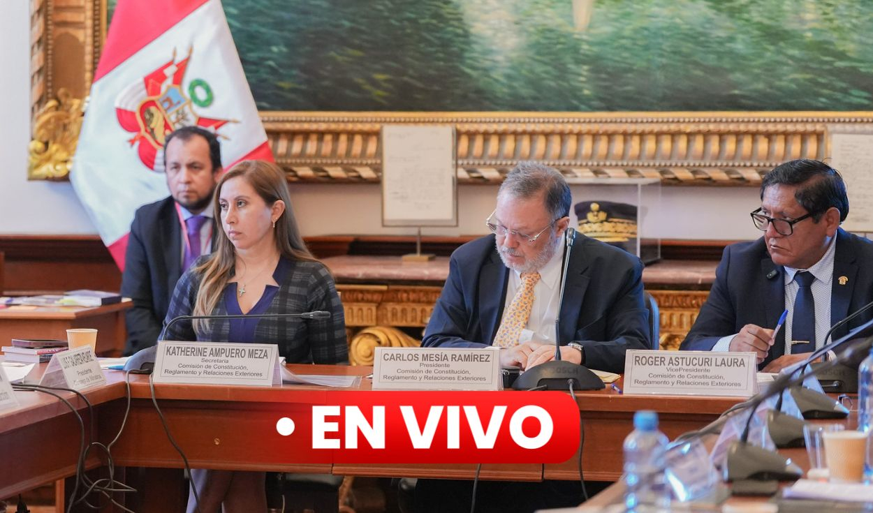Comisión de Constitución EN VIVO: senadores discuten dictamen de delegación de facultades