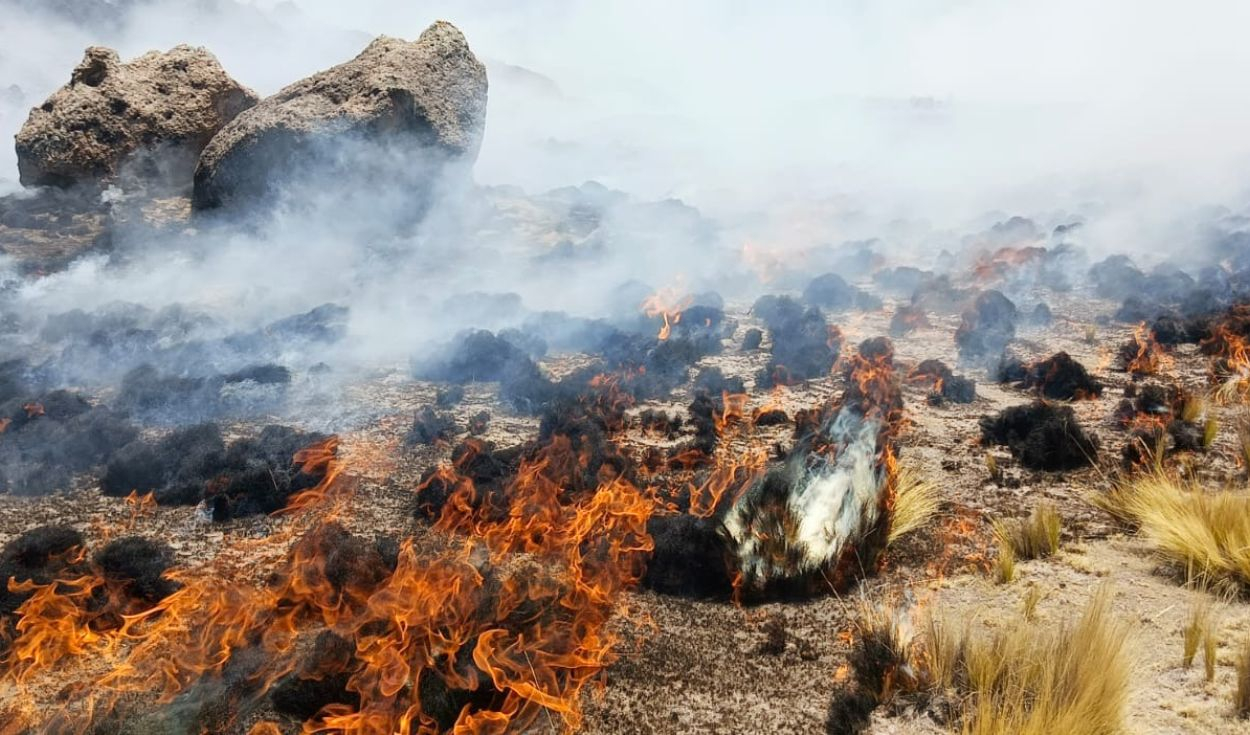 Incendios forestales en Puno dejan dos fallecidos, 22 heridos y arrasan casi 30.000 hectáreas
