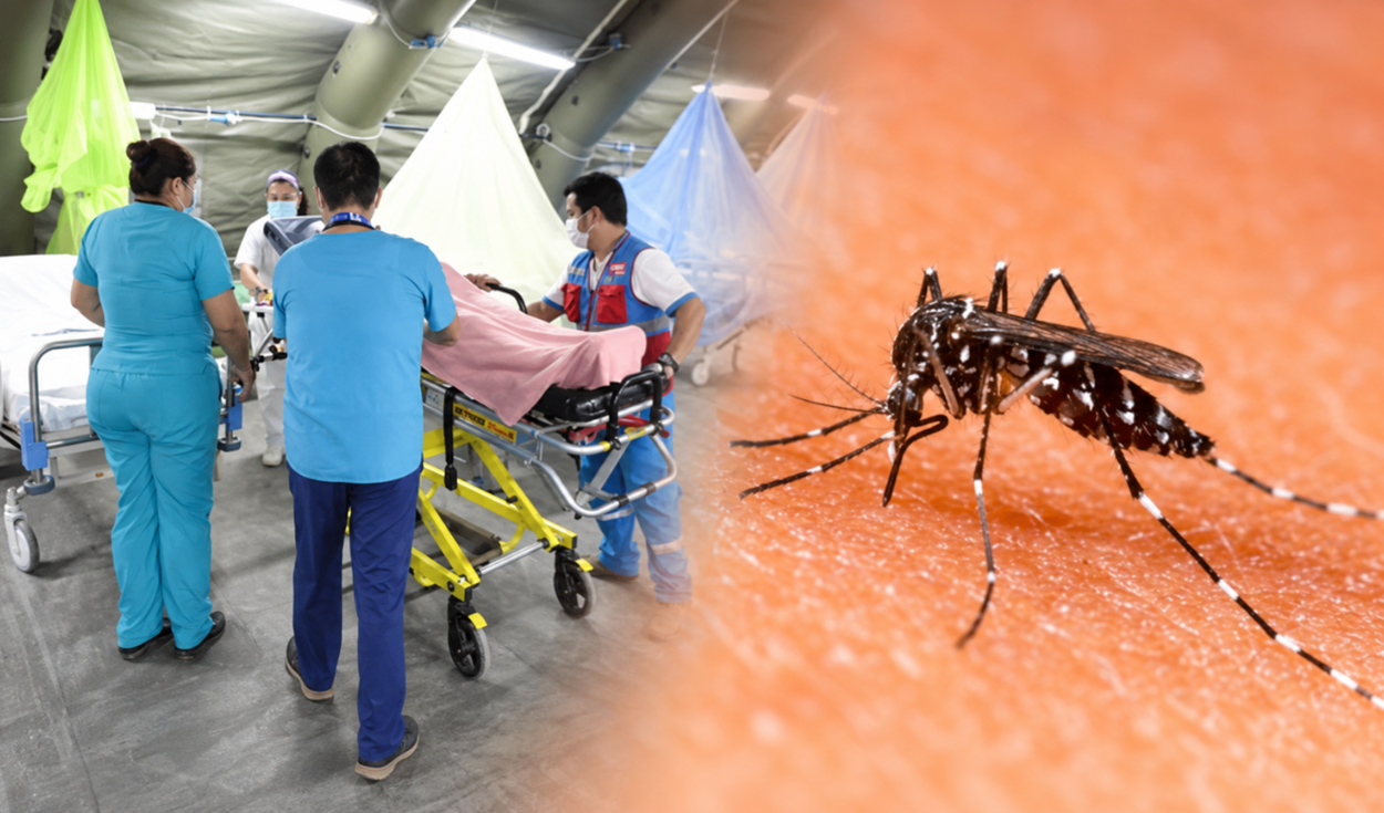 ¡Cuidado! Minsa alerta que automedicarse con doxiciclina por dengue puede poner en riesgo la vida