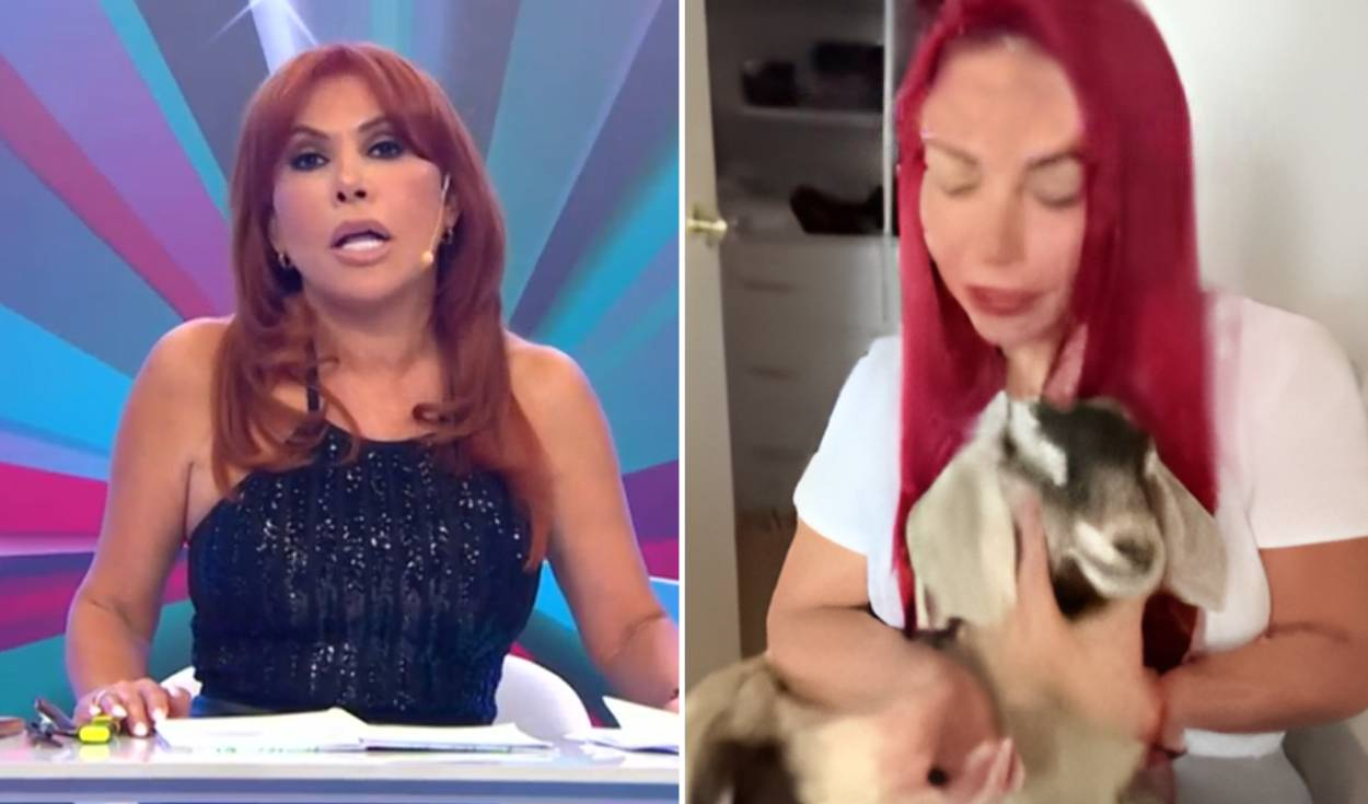 Magaly Medina queda impactada tras ver imágenes de Deysi Araujo con un cabrito y exige que las quiten de su programa: "Son chocantes"