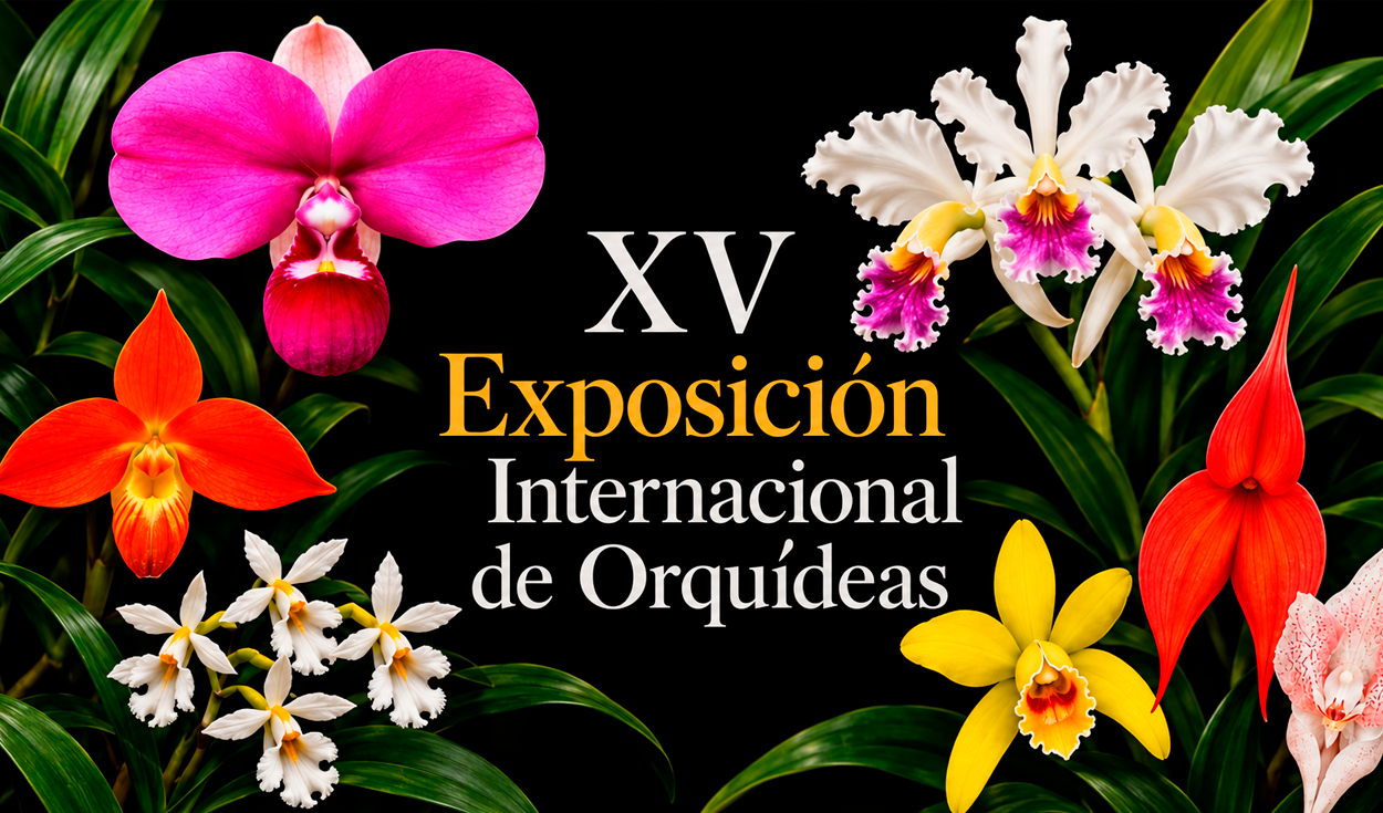 Lima será sede del evento de orquídeas más grande del país por los 40 años de la Sociedad Peruana de Orquídeas