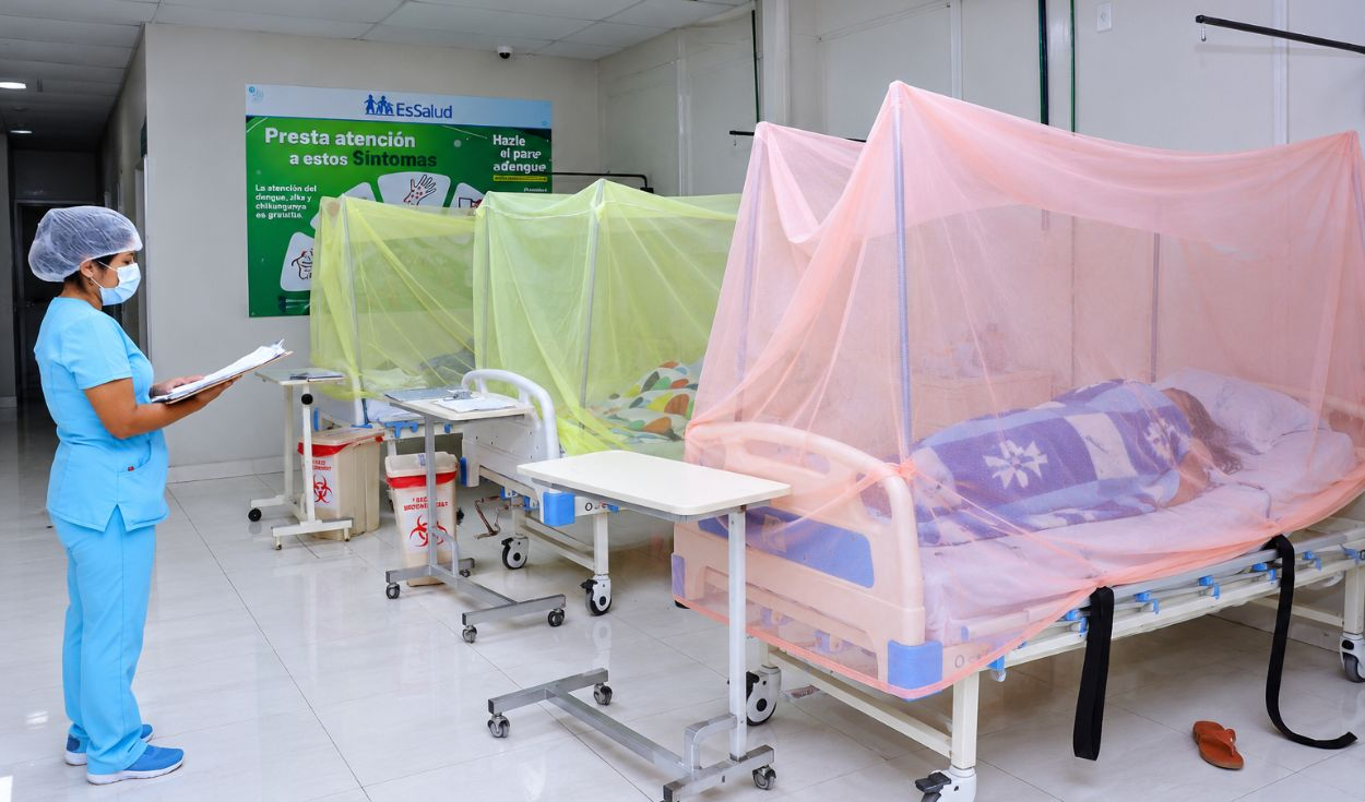 Dengue supera los 71.000 casos y suma 75 muertes en Perú ante la llegada de El Niño