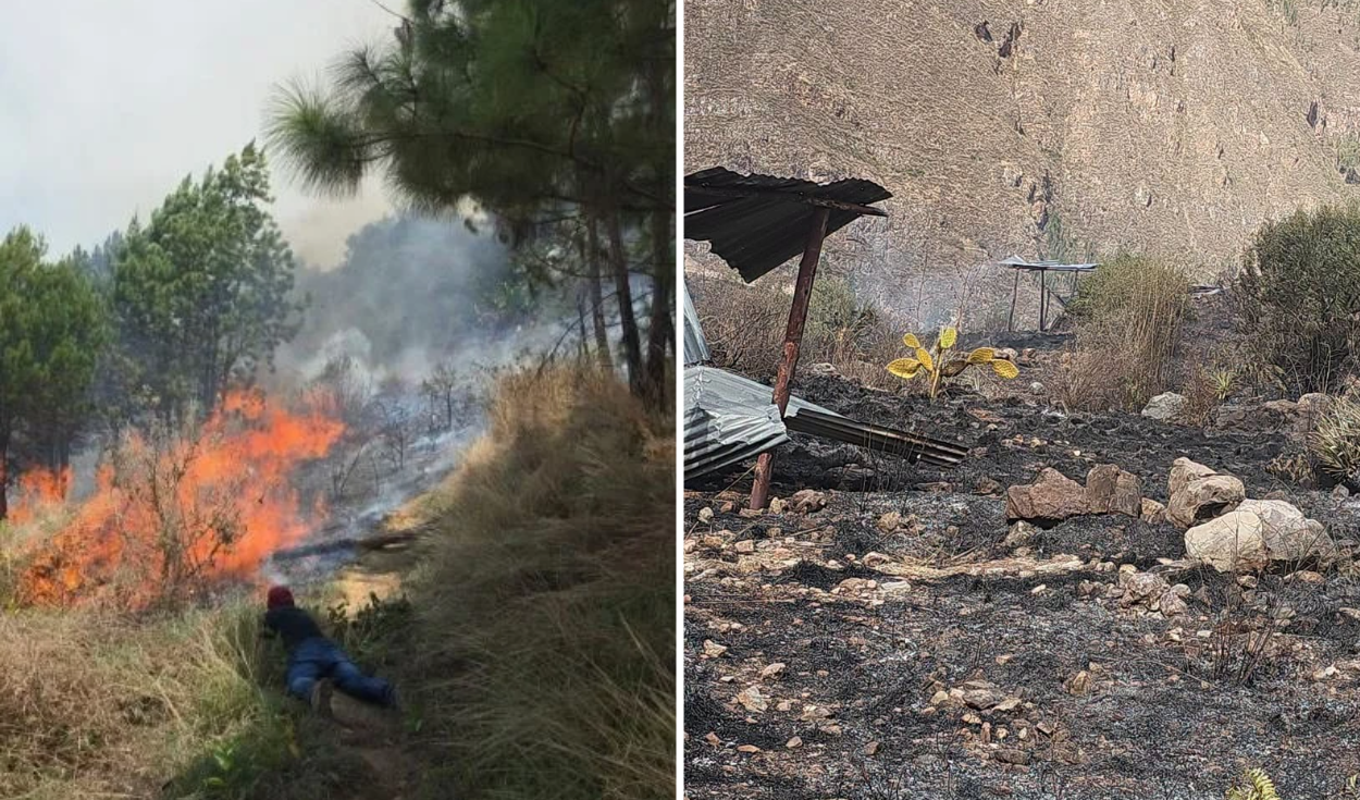 Tres personas son condenadas en Cusco por provocar incendios forestales que devastaron más de 23 hectáreas