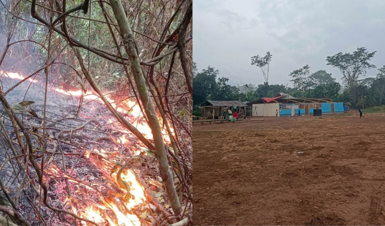 "Lo han perdido todo": comunidades piden ayuda al Gobierno tras incendios forestales que arrasaron sus cultivos