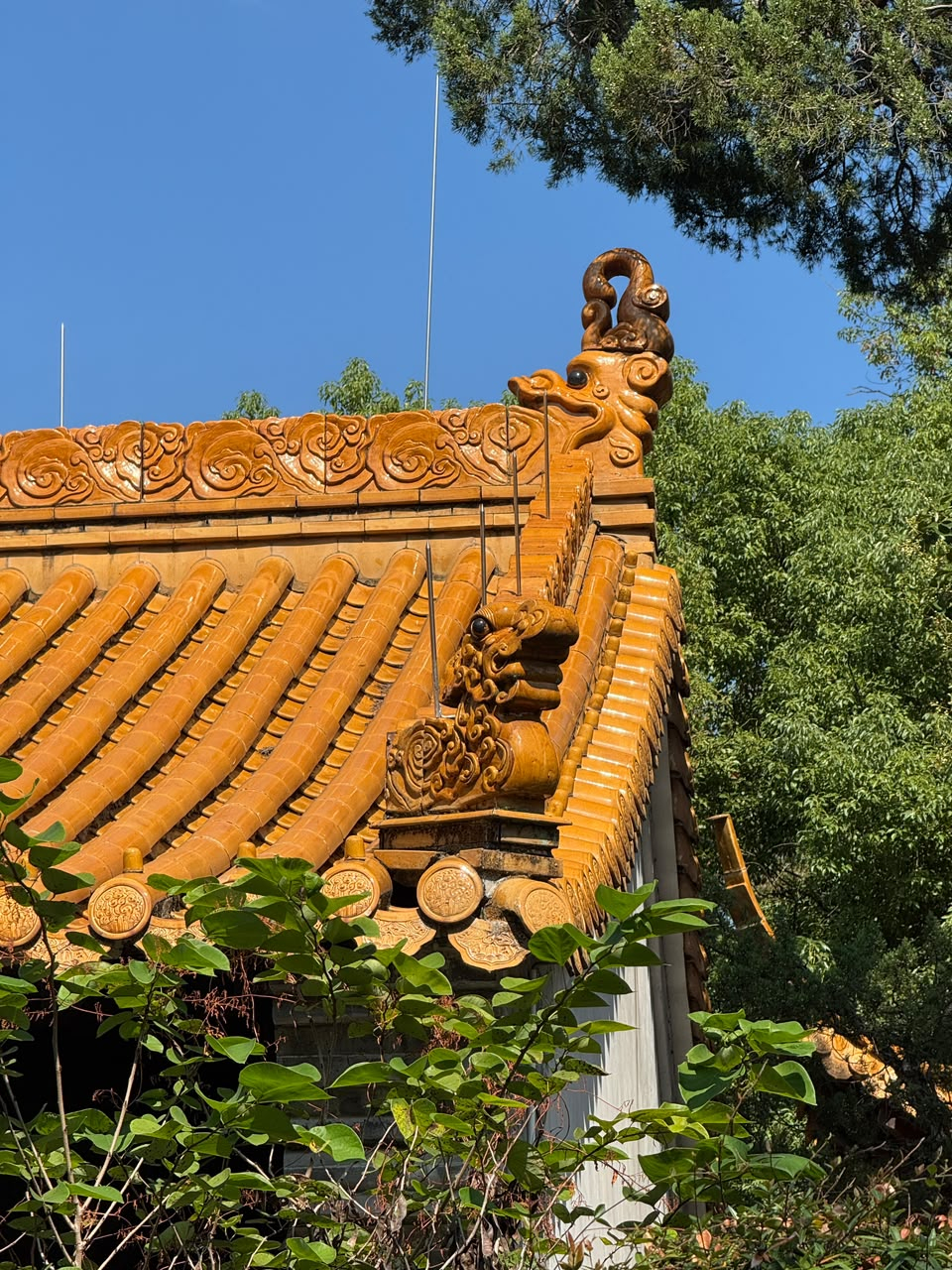 El detalle del tejado de uno de los pabellones históricos de la colina Gushan. Foto: LR/Jennifer Valqui