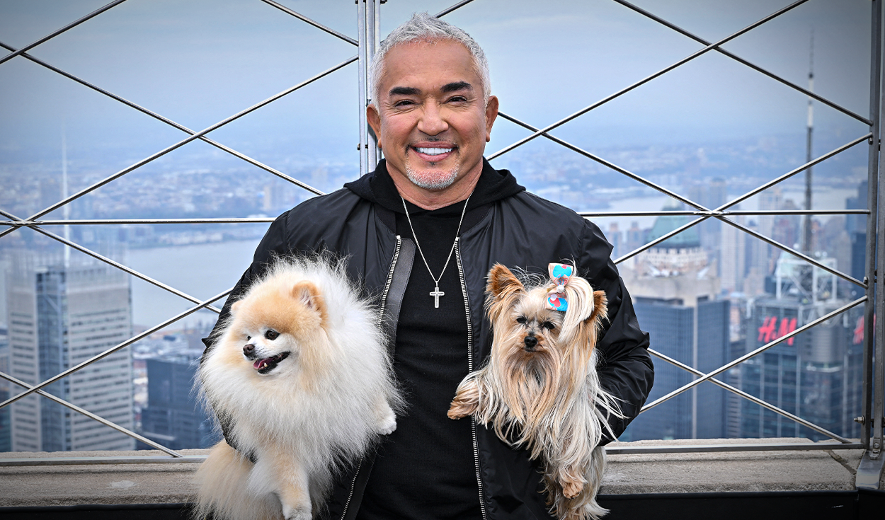 César Millán, el 'encantador de perros': "Lo que sientes se convierte en tu energía, y eso es lo único que tu perro sabe de ti"