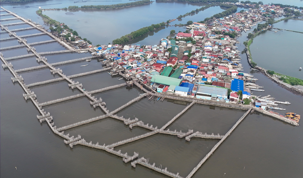 En una isla de Filipinas combaten la subida del nivel del mar y las inundaciones usando la naturaleza y no el concreto